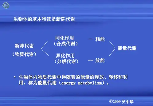 第十一章能量代谢与体温调节_PPT幻灯片