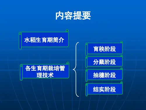水稻栽培管理技术ppt课件