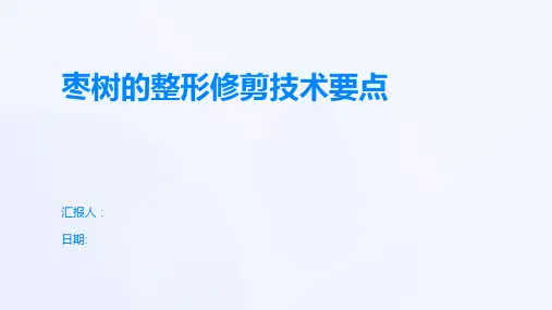 枣树的整形修剪技术要点