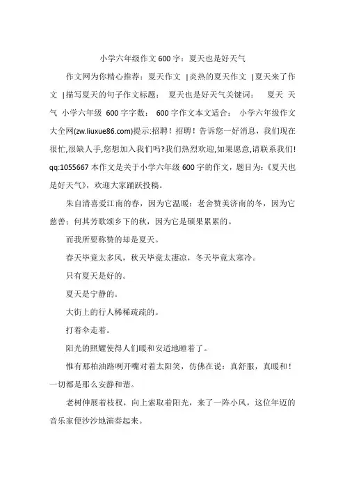 小学六年级作文600字：夏天也是好天气