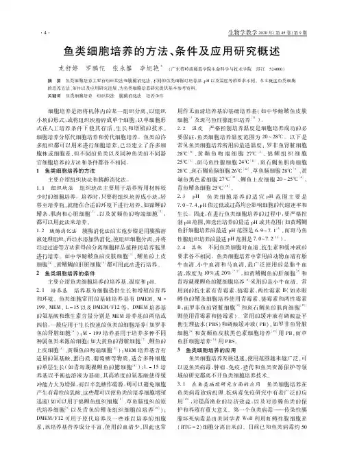 鱼类细胞培养的方法、条件及应用研究概述
