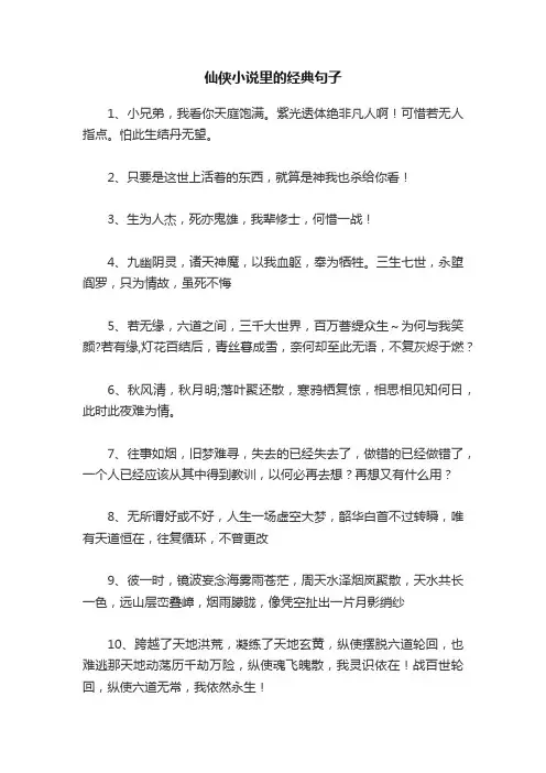 仙侠小说里的经典句子