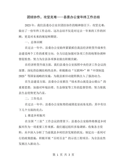 团结协作,攻坚克难——县委办公室年终工作总结
