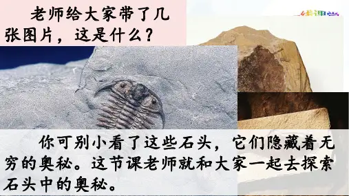最新苏教版三年级语文下册第六单元第19课《石头书》课件