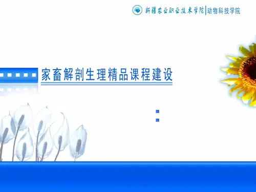 动物解剖学之 呼吸系统