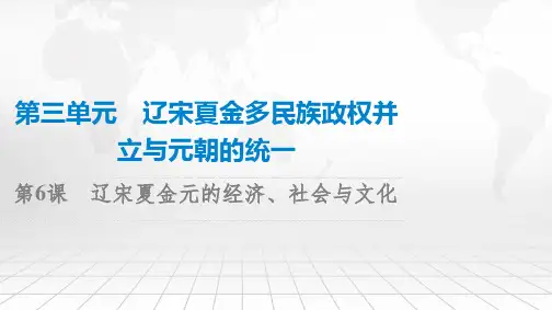 《辽宋夏金元的经济、社会与文化》复习课件