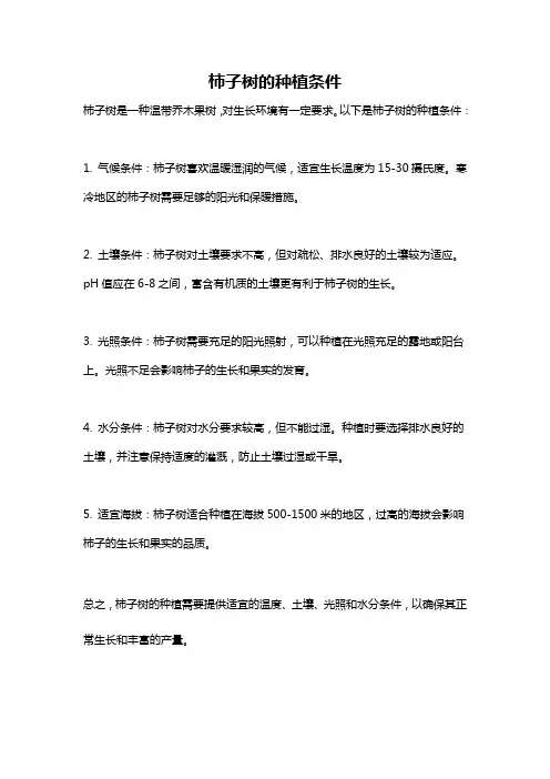 柿子树的种植条件