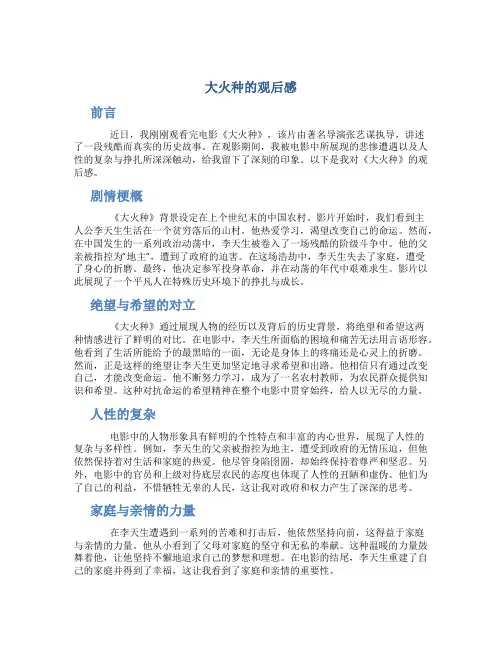 大火种的观后感