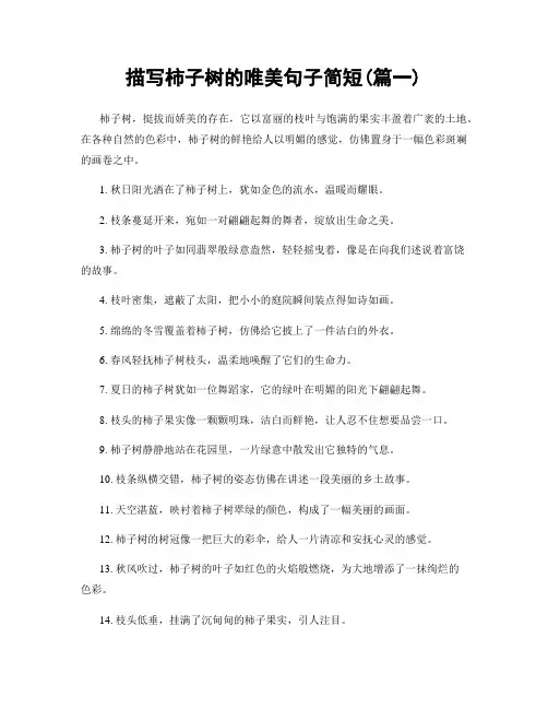 描写柿子树的唯美句子简短(精选合集2篇)
