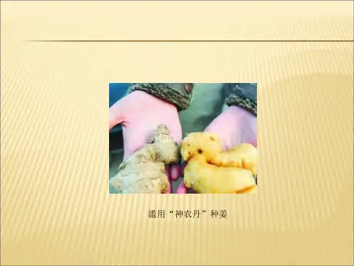 农药残留检测技术课件ppt