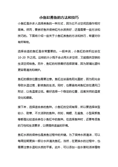 小鱼缸养鱼的方法和技巧