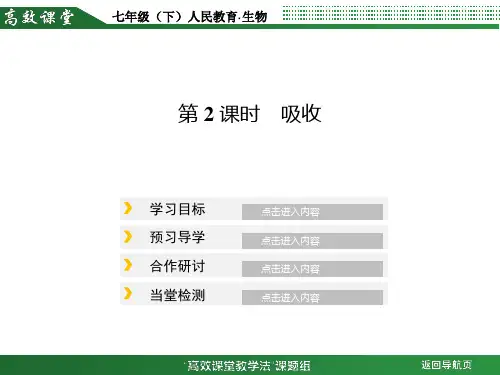 人体营养物质的吸收
