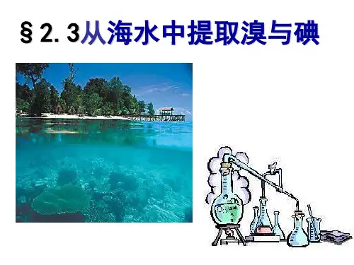 2.3.1从海水中提取溴和碘