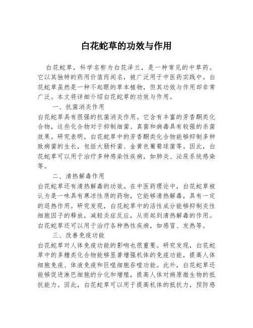 白花蛇草的功效与作用