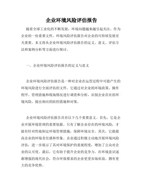 企业环境风险评估报告