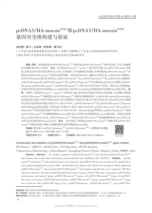pcDNA3