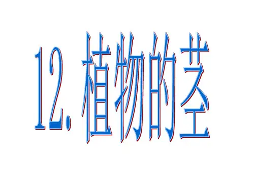 四年级科学第十二课《植物的茎》