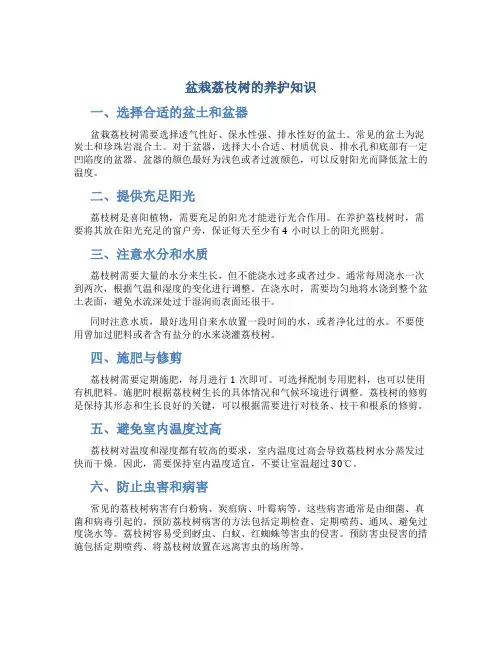 盆栽荔枝树的养护知识