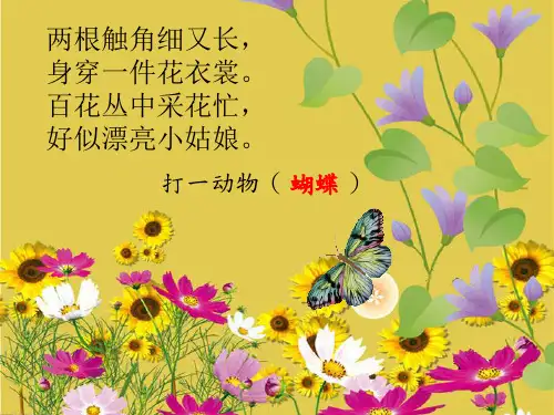 美术二年级下册课件- 5 折剪蝴蝶  浙美版