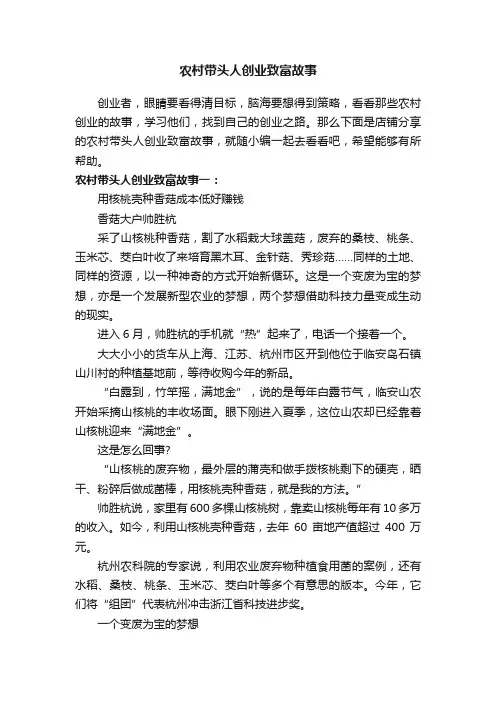 农村带头人创业致富故事