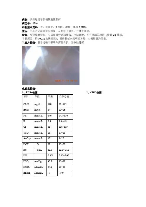 (兽医临床)骨折1月份 已发