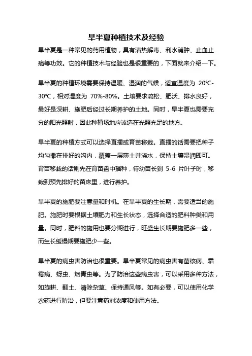 旱半夏种植技术及经验