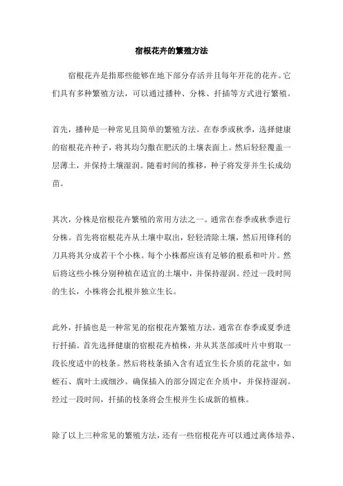 宿根花卉的繁殖方法