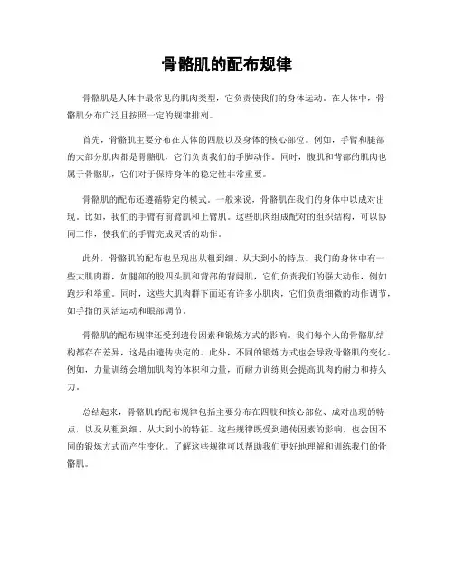 骨骼肌的配布规律