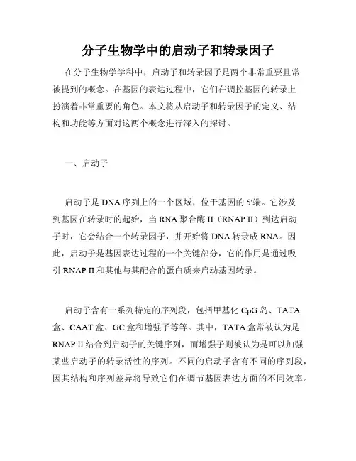 分子生物学中的启动子和转录因子