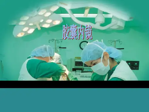 胶囊内镜-资料