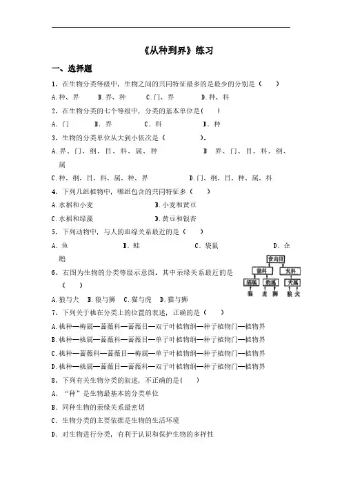 初中生物人教版八年级上册《6.1.2从种到界》练习