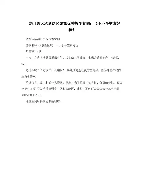 幼儿园大班活动区游戏优秀教学案例：《小小斗笠真好玩》
