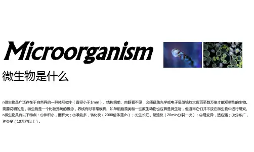 微生物及无菌操作课件共37页文档