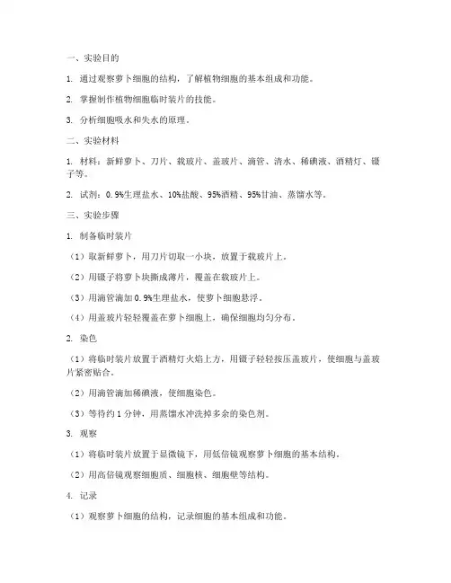 观察萝卜细胞实验报告