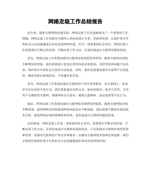 网络定级工作总结报告