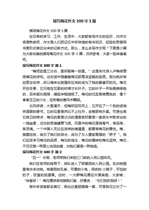 描写梅花作文300字3篇