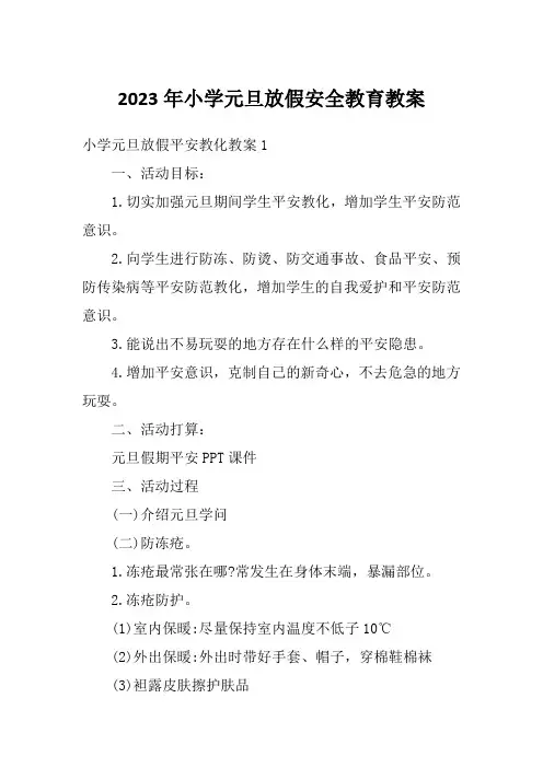 2023年小学元旦放假安全教育教案