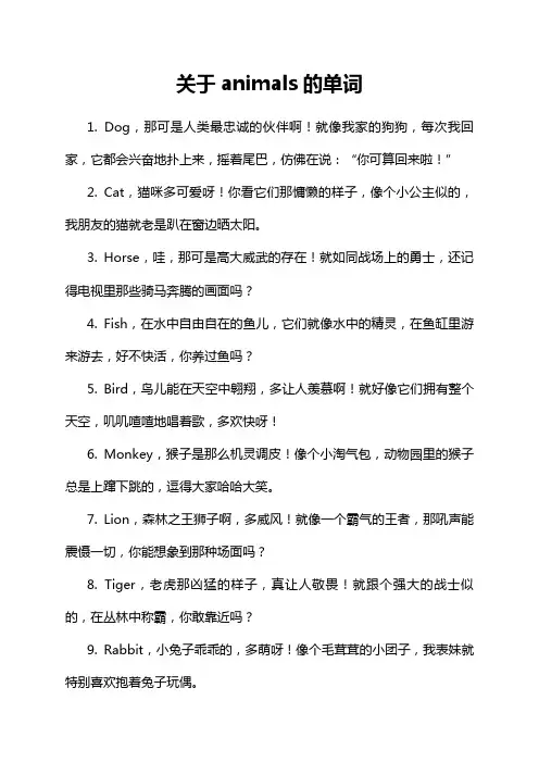 关于animals的单词