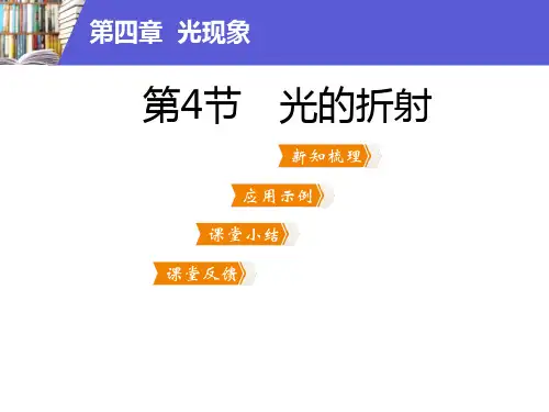 光的折射光现象ppt完美版课件