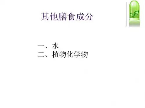 其他膳食成分