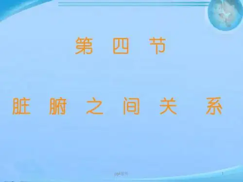 中基-藏象-脏腑关系  ppt课件