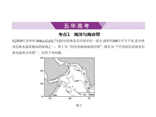 2021年广东高考地理复习练习课件：专题二十一 海洋地理