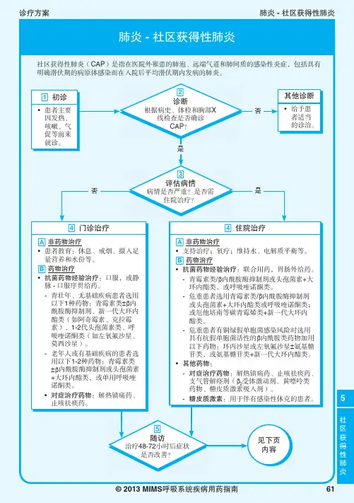 2013MIMS呼吸系统疾病指南-5-社区获得性肺炎