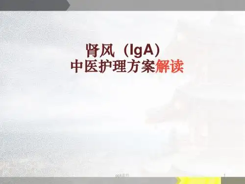 肾风中医护理方案  ppt课件
