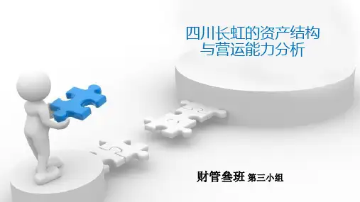 四川长虹的资产结构与营运能力分析-曾利群樊靖玥.