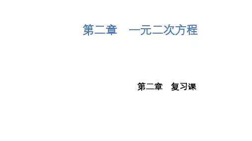 第2章 一元二次方程 北师大版九年级上册数学复习课(共23张PPT)