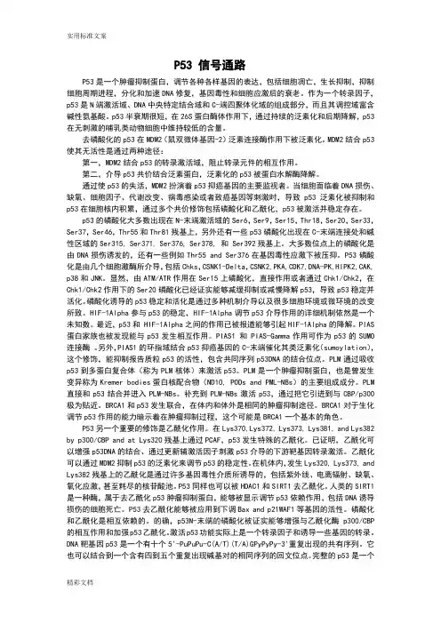 P53信号通路译文