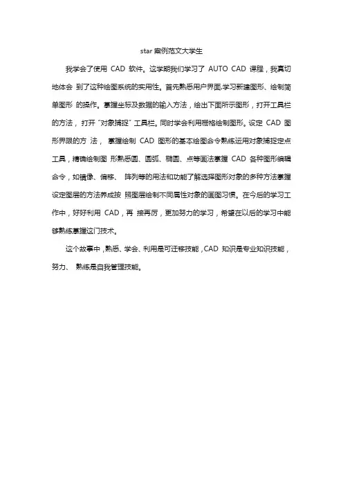 star案例范文大学生