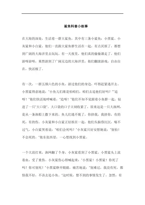 鲨鱼科普小故事