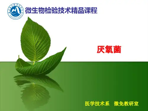 厌氧菌110讲解